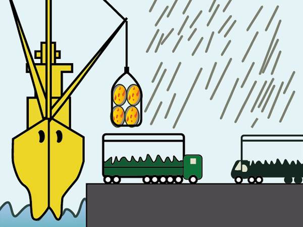 Operation Guidelines